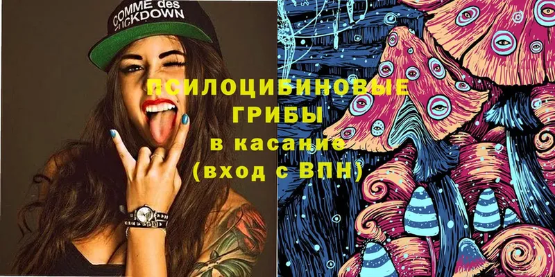 kraken сайт  купить закладку  Лабинск  Псилоцибиновые грибы Psilocybine cubensis 